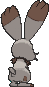 Bunnelby, Back, in X & Y
