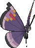 Vivillon Elegant, Back, in X & Y