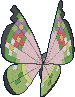Vivillon Fancy, Back, in X & Y