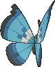 Vivillon Marine, Back, in X & Y