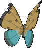 Vivillon River, Back, in X & Y