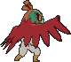 Hawlucha, Back, in X & Y