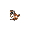 Pidgey in Yellow