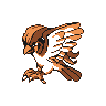 Pidgeot, Front, in Yellow