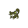 Rattata