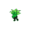 Oddish