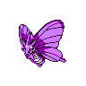 Venomoth